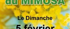 Fête du Mimosa