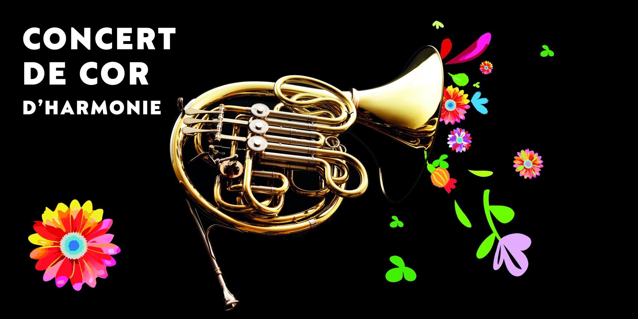 CONCERT DE COR D'HARMONIE