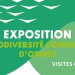 VISITES GUIDÉES : EXPO. LA BIODIVERSITÉ COMMUNALE